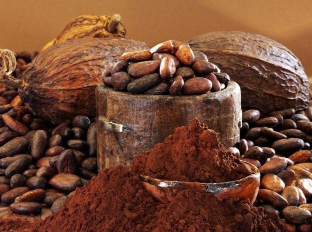 Why Tanzanian Cocoa is Superior